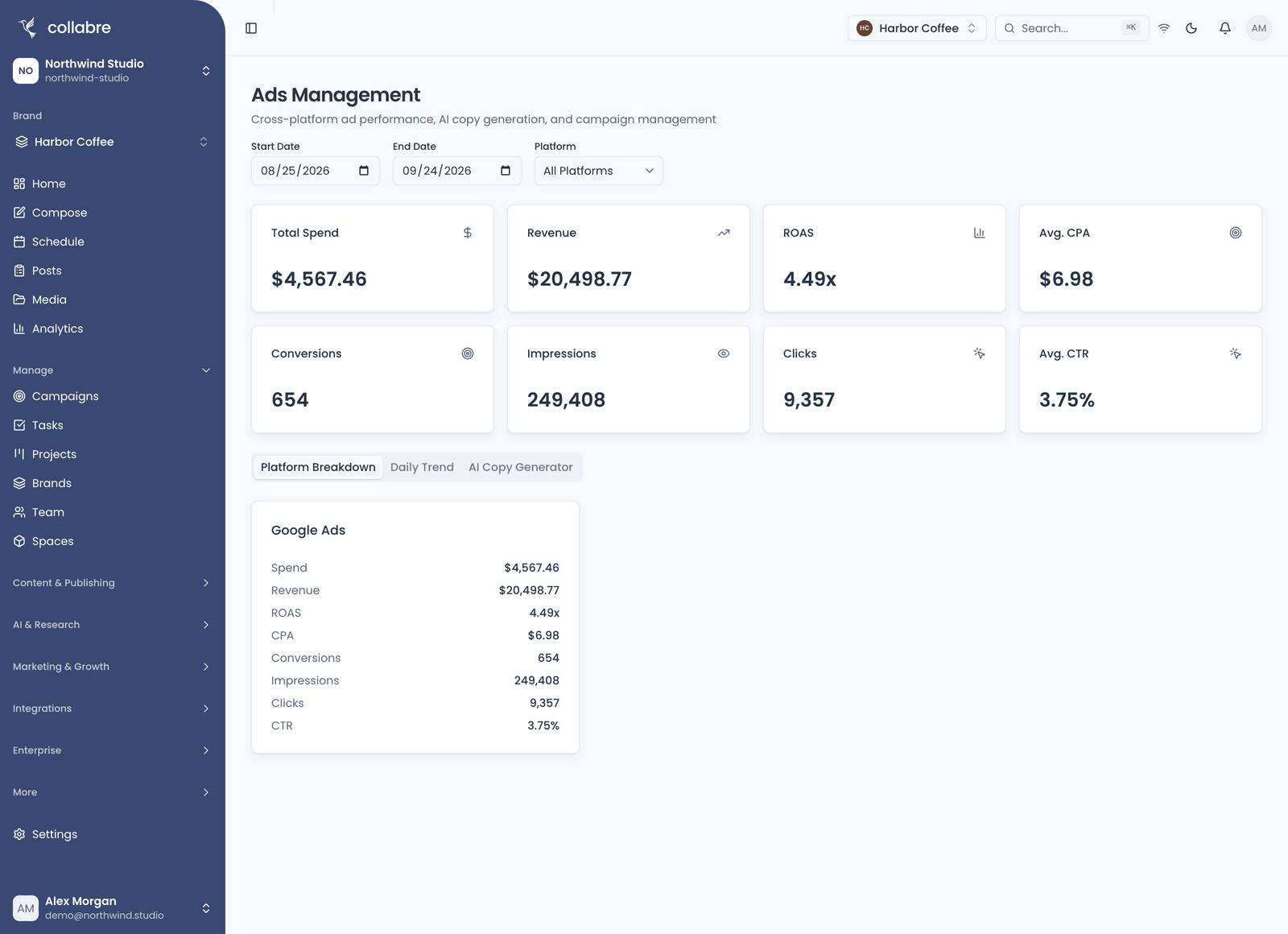 Ads Management for the last 30 days: spend, revenue, ROAS, CPA, conversions, impressions, clicks and CTR, with the Google Ads platform breakdown.
