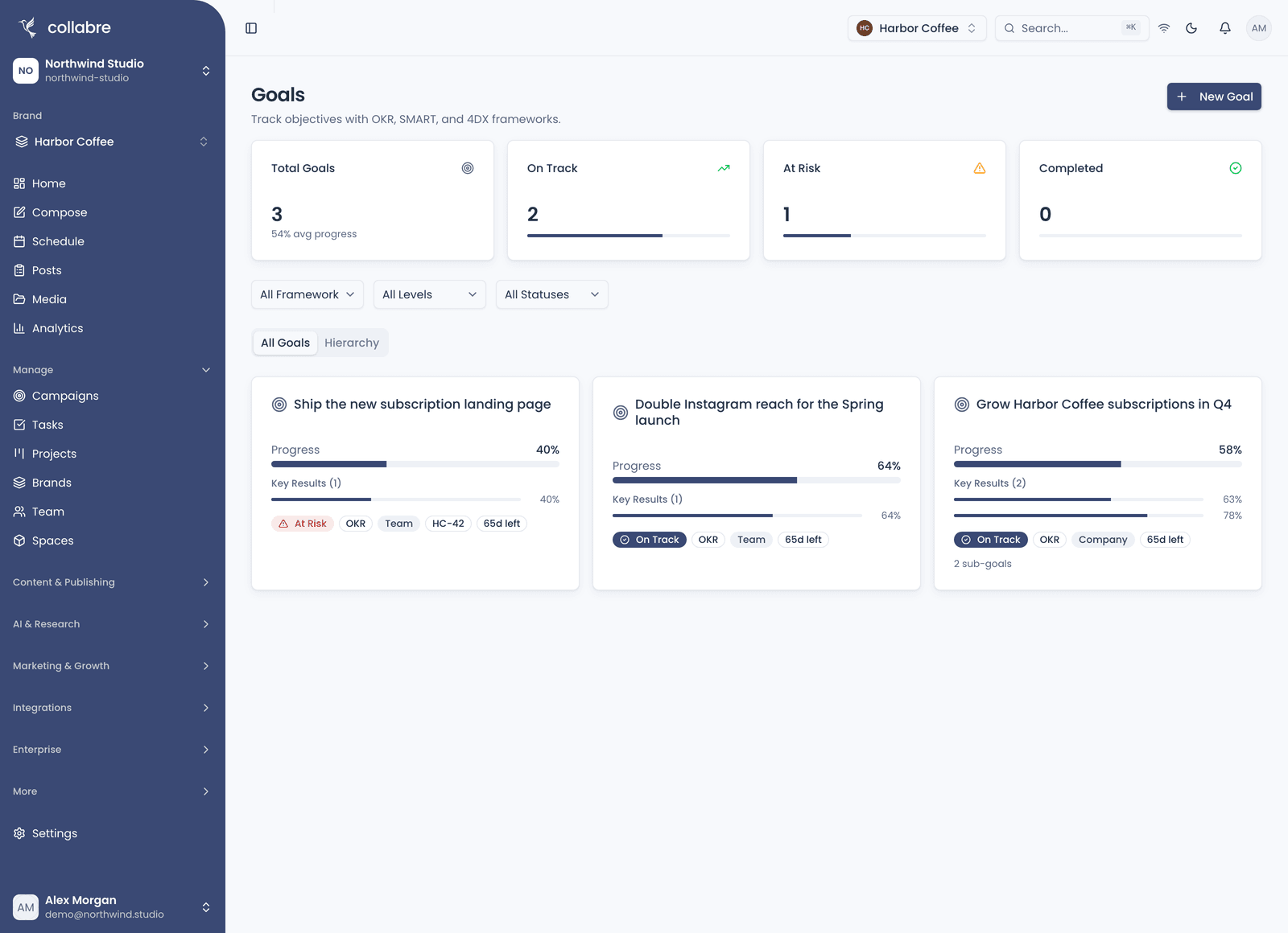 Goals with one OKR company goal and two team goals: the summary cards, the framework, level and status filters, and each goal's progress and key results.