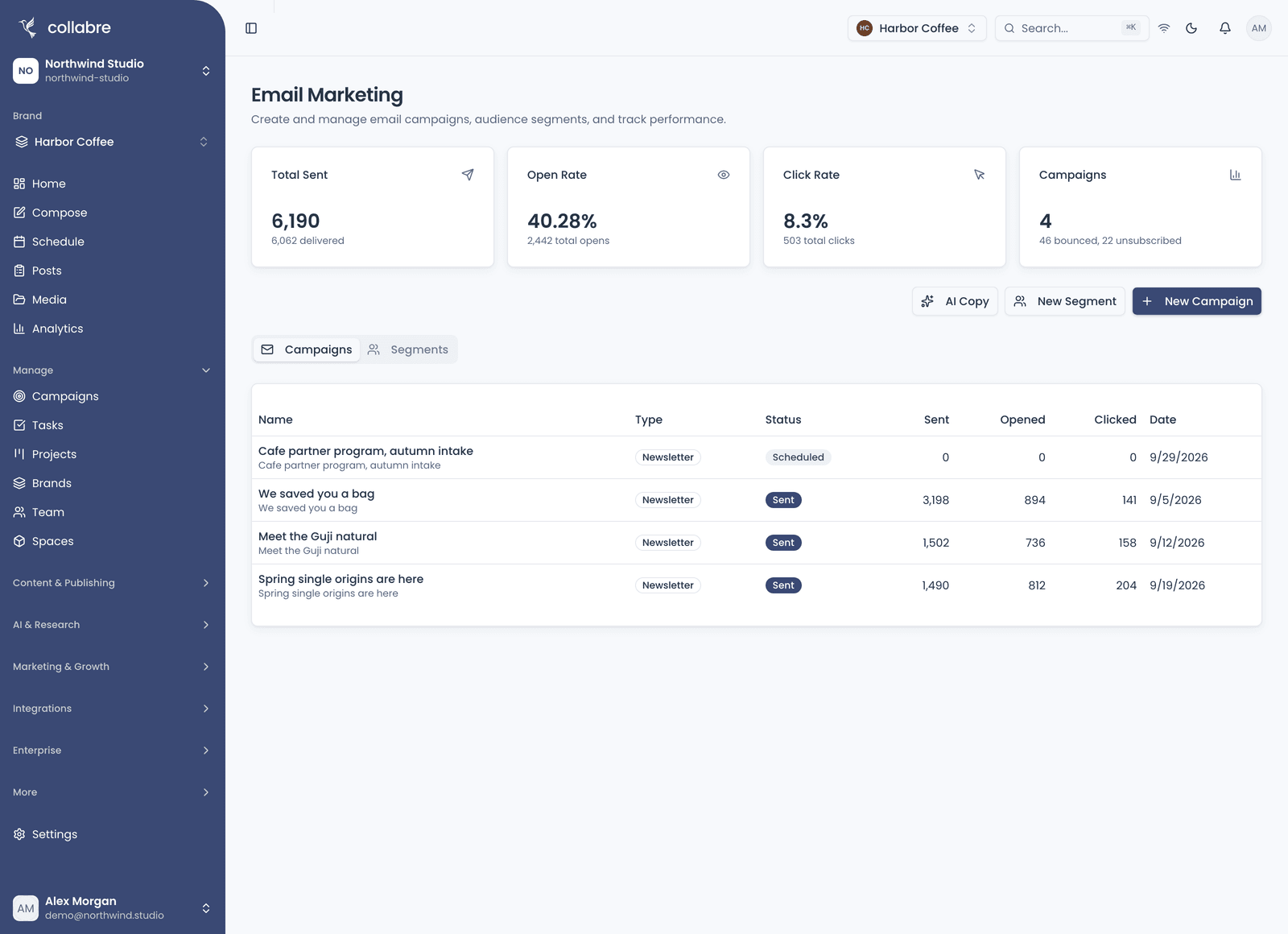 Email Marketing for a Workspace with several email campaigns and at least two segments, the Campaigns tab selected: the Total Sent, Open Rate, Click Rate and Campaigns cards, the Campaigns and Segments tabs, and the campaign list.