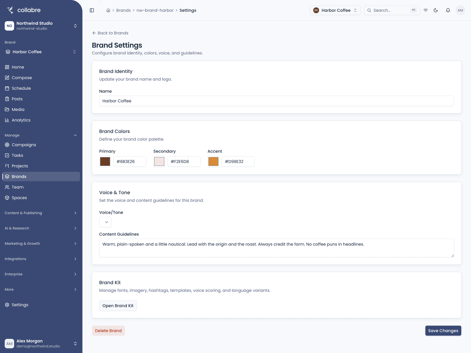 Brand Settings for one Brand: its name, primary, secondary and accent colors, its content guidelines, and the link to the Brand Kit.