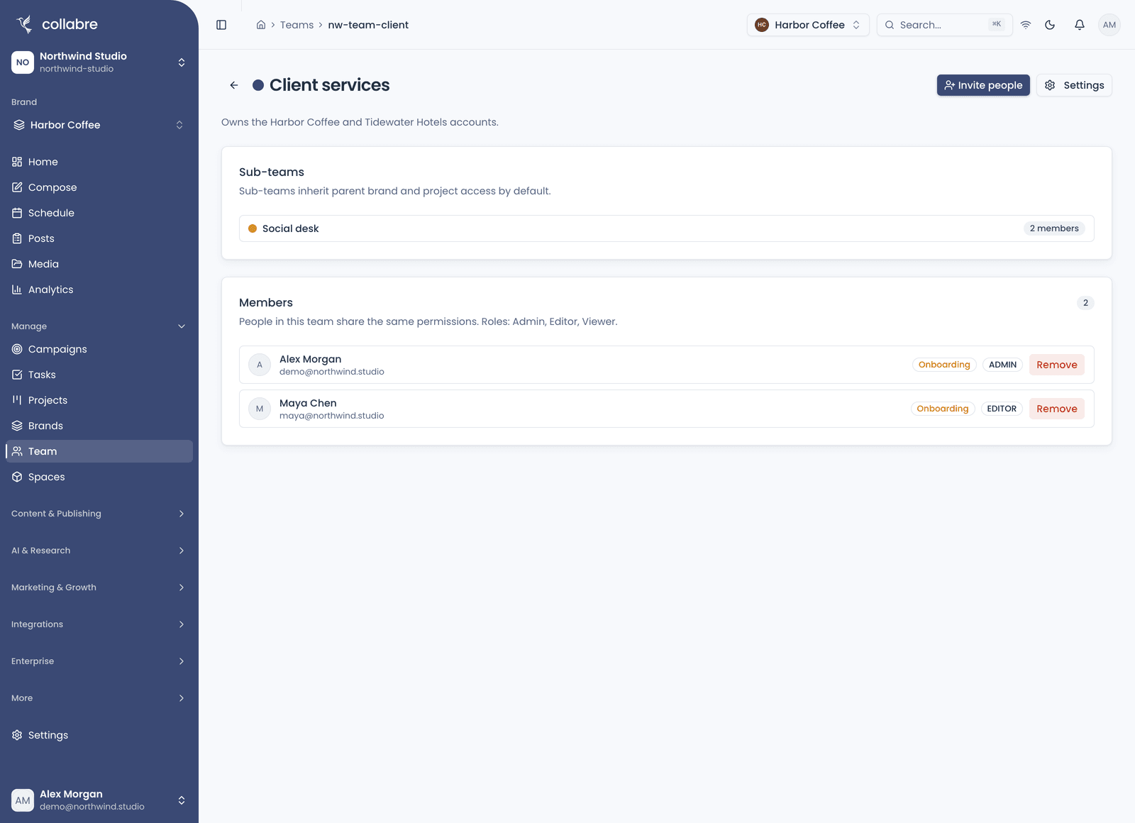 One Team in detail: its sub-team and its members with their Admin and Editor roles.