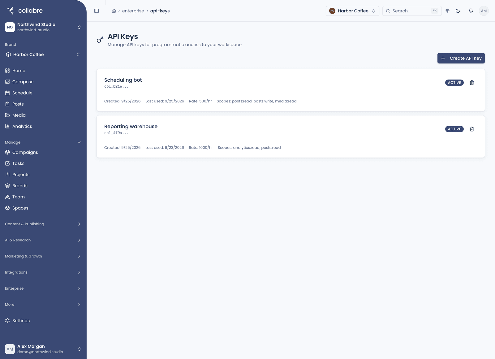 API Keys with two active keys carrying different scopes: the key list with scopes, the rate limit on each, and the revoke action.